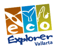 Логотип Eco Explorer Vallarta