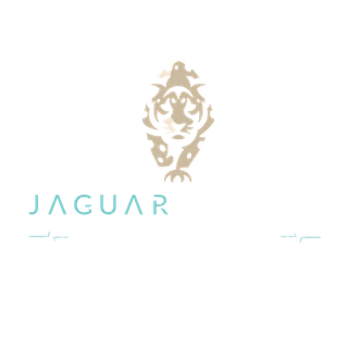 Логотип Jaguar Divers